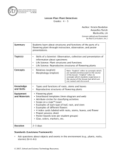 Lesson Plan - STR Scopes