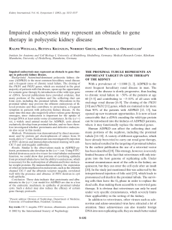 Impaired endocytosis may represent an obstacle to gene therapy in