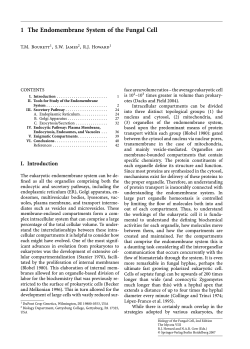 1 The Endomembrane System of the Fungal Cell