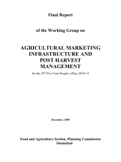 Agricultural Marketing Infrastructure
