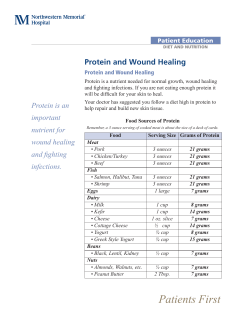 Protein and Wound Healing - Northwestern Memorial Hospital