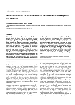 Genetic evidence for the subdivision of the arthropod