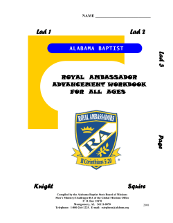 Lad 1 Lad 3 Page Knight Squire Lad 2