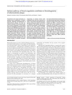 Intrinsic pathway of blood coagulation contributes to