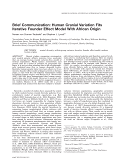 Human cranial variation fits iterative founder effect model with
