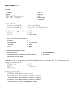 Ch 15 Practice Exam