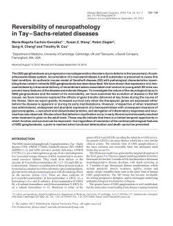 Reversibility of neuropathology in Tay &ndash; Sachs