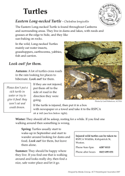 File - the ACT Herpetological Association