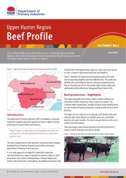 Upper Hunter region beef profile