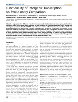 Functionality of Intergenic Transcription: An