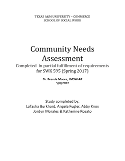 Community Needs Assessment - United Way of Lamar County