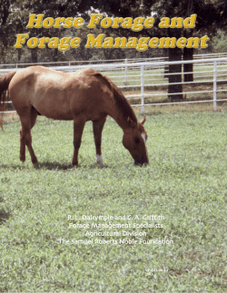 Horse Forage and Forage Management
