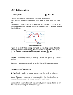 Note 1.7 Enzymes