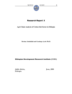 EDRI Research Report 10