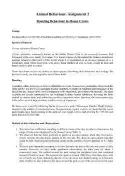 Animal Behaviour- Assignment 2