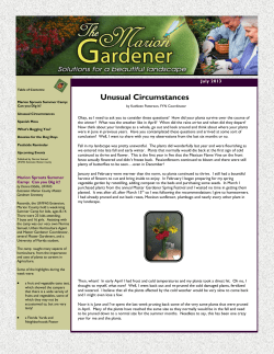 Marion Gardener Newsletter - July 2013