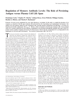 The Role of Persisting Antigen versus Plasma Cell Life Span