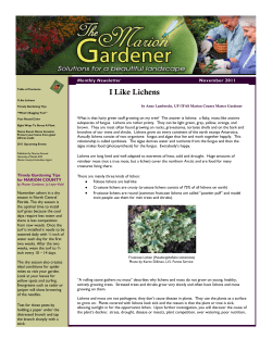 I Like Lichens - Marioncountyfl.org