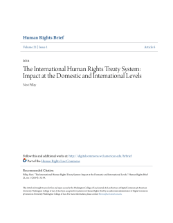 The International Human Rights Treaty System: Impact at the