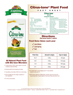Citrus-tone Plant Food
