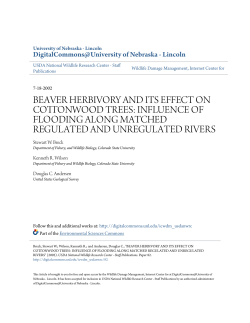 beaver herbivory and its effect on cottonwood trees