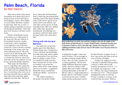 here - Palm Beach County