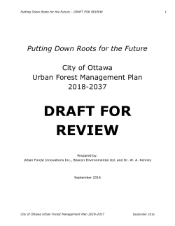 Putting Down Roots for the Future: City of Ottawa