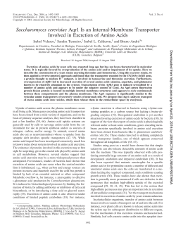 Saccharomyces cerevisiae Aqr1 Is an Internal-Membrane