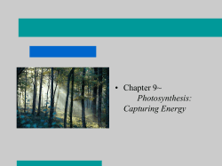 Photosynthesis, Chapter 9