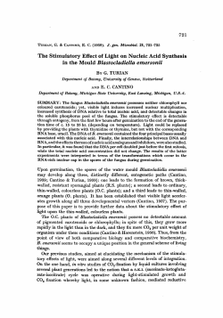 The Stimulatory Effect of Light on Nucleic Acid