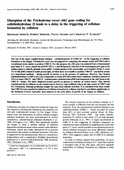 Disruption of the Trichoderma reesei cbh2 gene