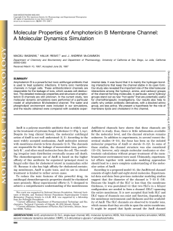 Molecular Properties of Amphotericin B Membrane Channel: A