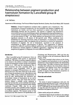 Relationship between pigment production and haemolysin formation