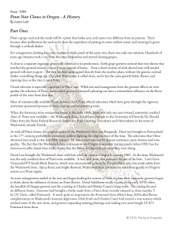 2004, Essay - The Eyrie Vineyards