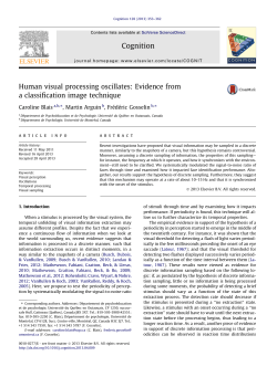 Human visual processing oscillates