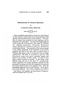 Observations on Various Sporozoa.