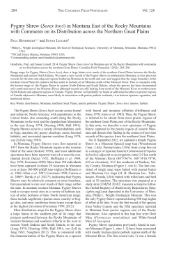 Pygmy Shrew (Sorex hoyi) in Montana East of the Rocky Mountains