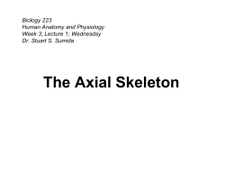 The Axial Skeleton - Dr. Stuart Sumida
