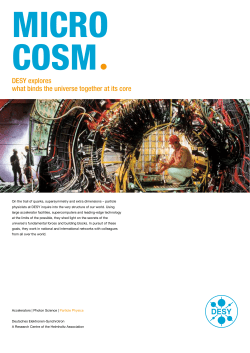 MICRO COSM - DESY