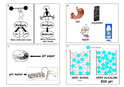 The pH, or &ldquo;potential of Hydrogen&rdquo; is the scale that measures the