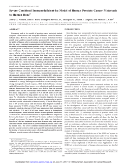 Severe Combined Immunodeficient-hu Model of Human Prostate