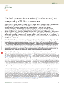 The draft genome of watermelon (Citrullus lanatus)