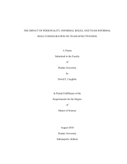 the impact of personality, informal roles