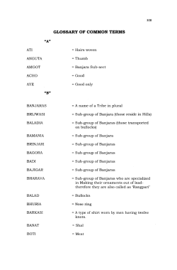 17_glossary of terms