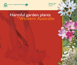 Harmful garden plants in Western Australia