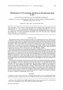 Measurement of ATP Generation and Decay in