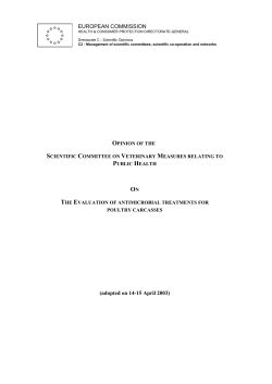 Opinion - European Commission