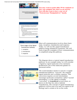 03 Endocrine and Cell Communication Hormonal