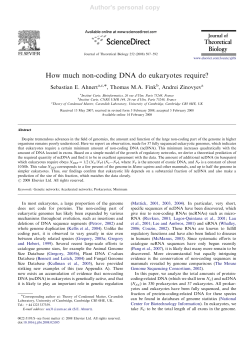 How much non-coding DNA do eukaryotes require?