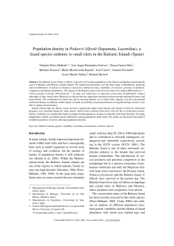 Population density in Podarcis lilfordi (Squamata, Lacertidae), a